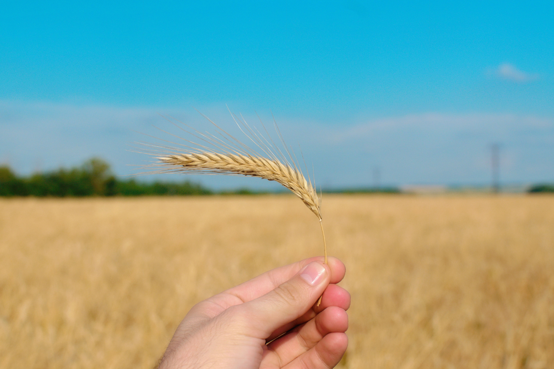 Pesquisa mapeia avanço da economia circular na ciência agroalimentar