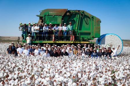 Participantes do Cotton Brazil Dialogues acompanham de perto a produção de algodão durante visita técnica a uma fazenda brasileira.