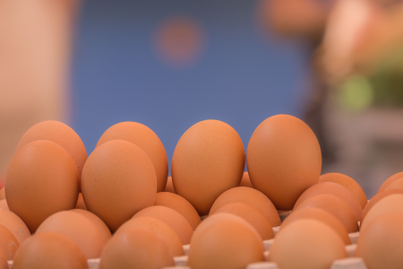 Ovos brancos e marrons dispostos em uma bandeja.