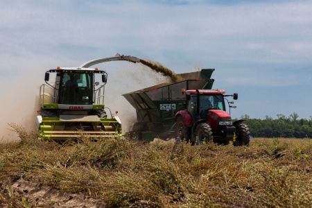 Colheita de grãos em uma lavoura, com máquinas agrícolas trabalhando no campo.