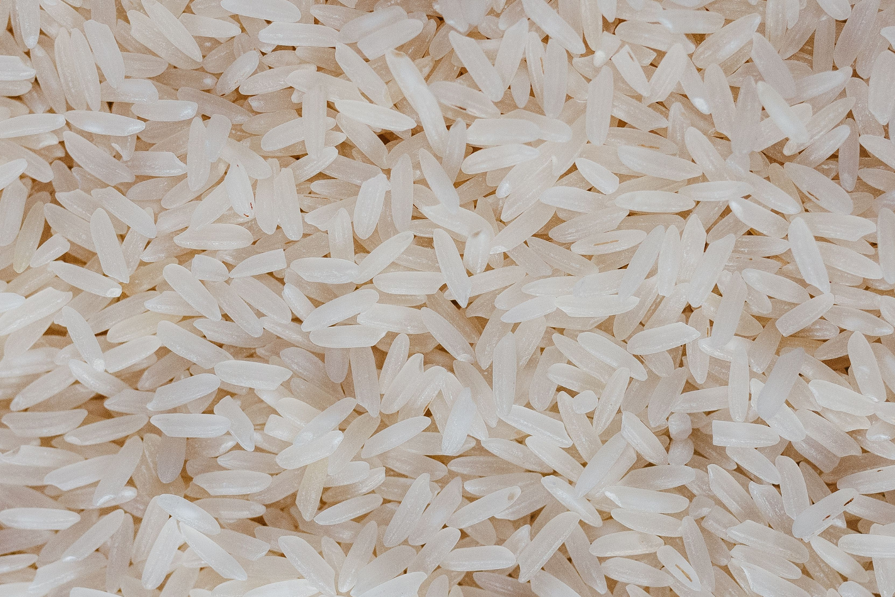 Baixa oferta de arroz mantém cotações firmes no Rio Grande do Sul