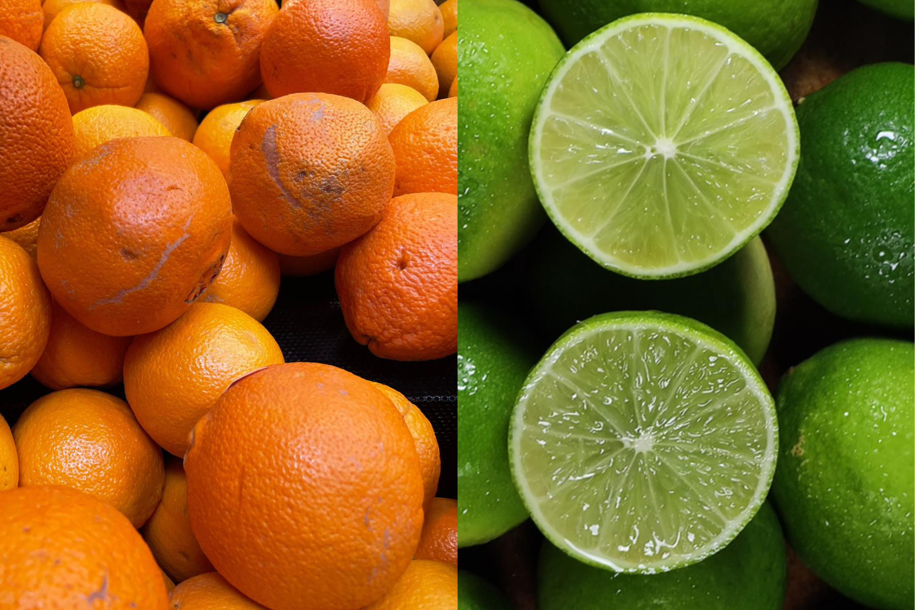 Laranja pera recua, enquanto poncã e tahiti têm alta nas cotações