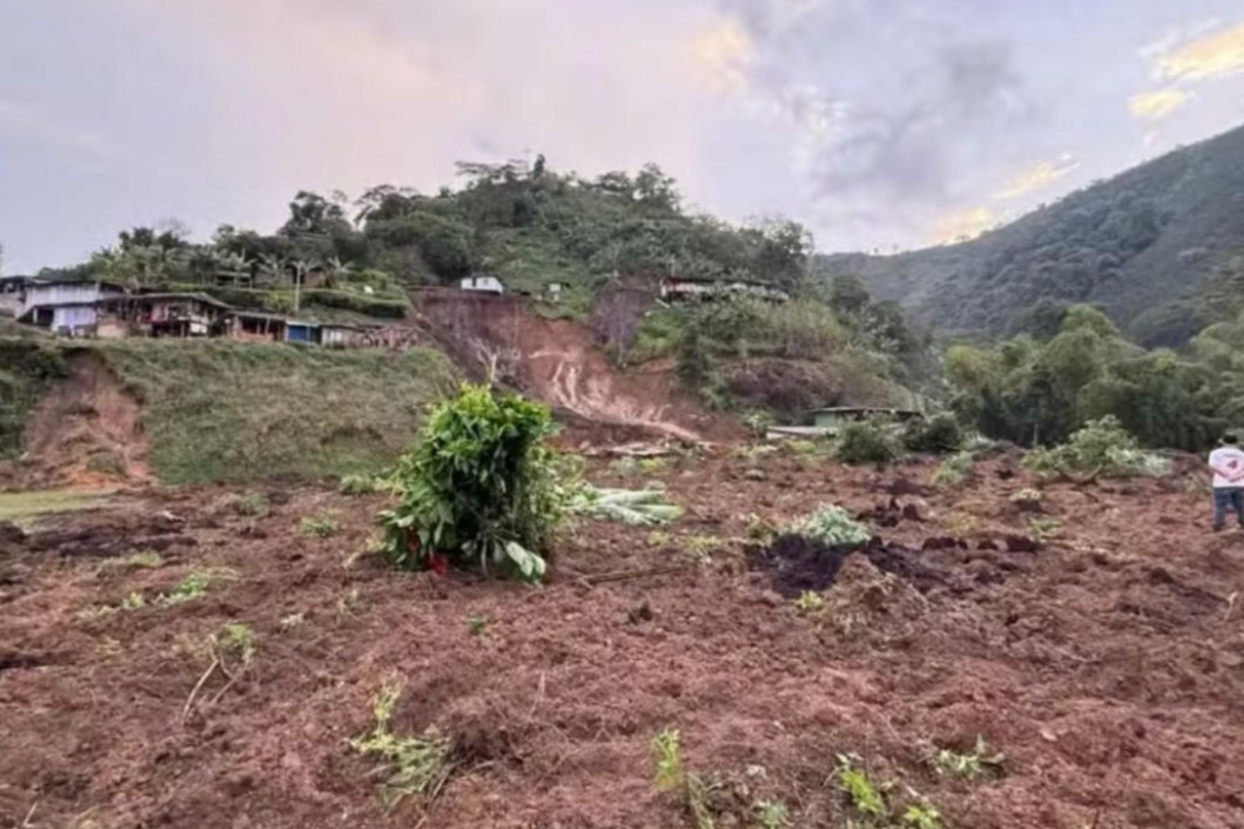 Valdir Barbosa: terremoto na Colômbia pode inflacionar preços do café