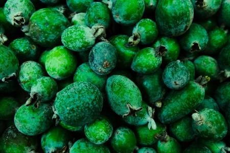 Feijoa