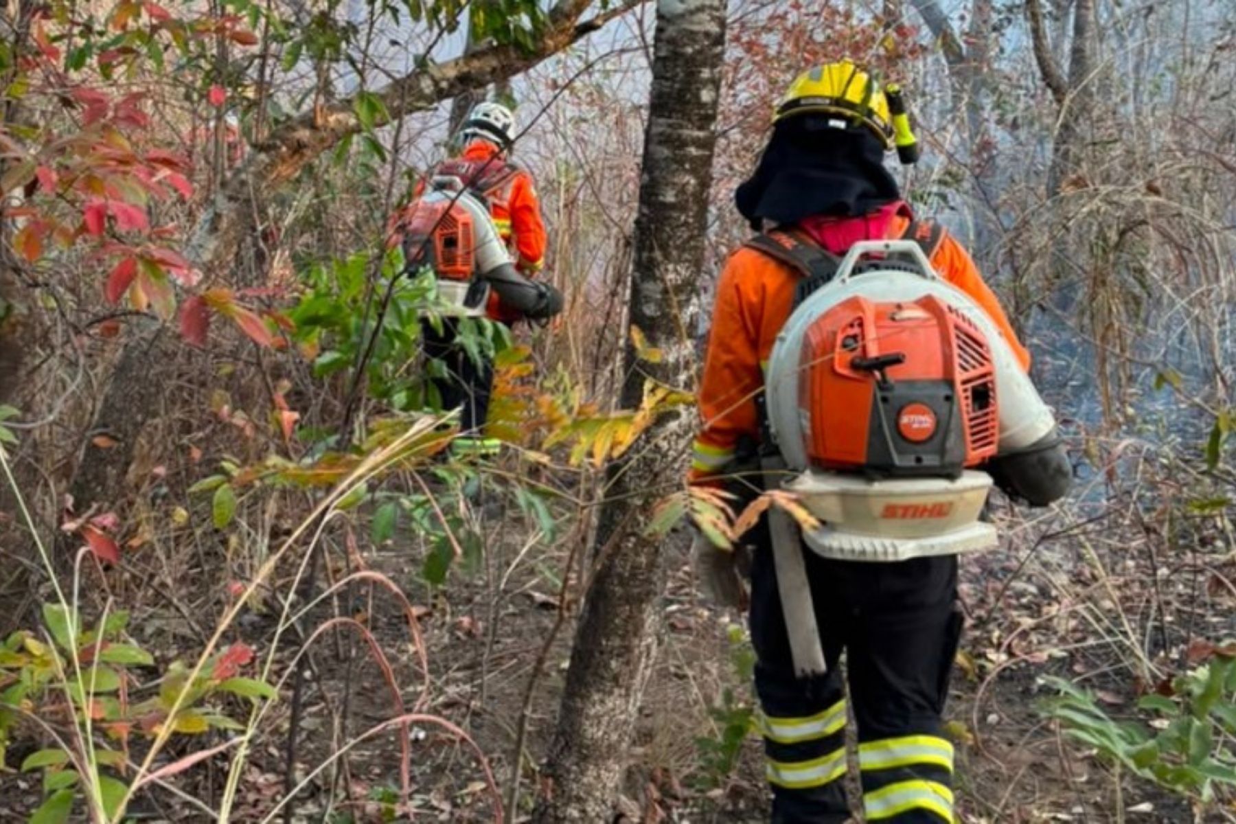 Incêndio na Chapada dos Veadeiros destrói mais de 1,2 mil hectares de Cerrado em Goiás
