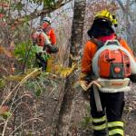 Combater incêndios vai além da água: conheça as ferramentas que protegem florestas