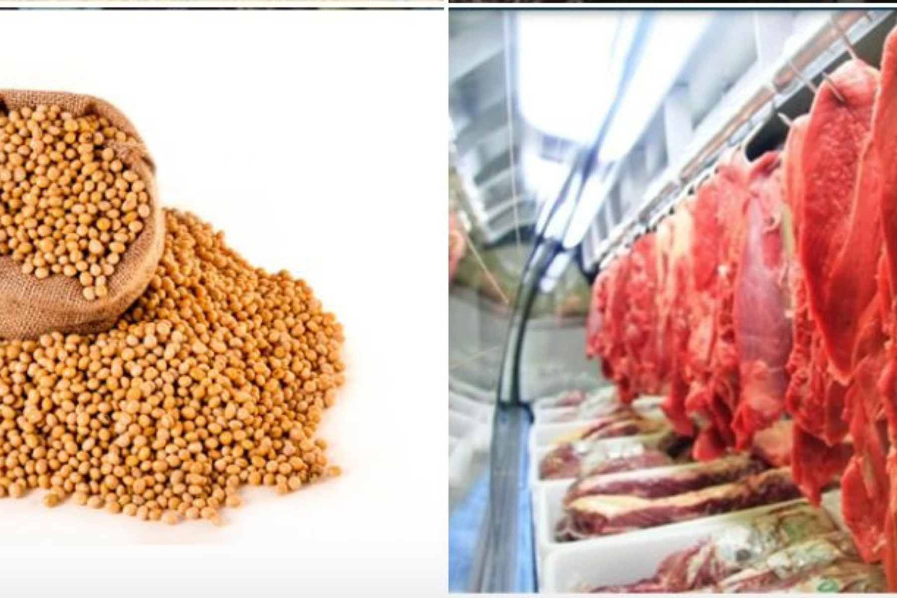Valdir Barbosa: além de bloquear carne bovina, UE quer produtos agrícolas sem defensivos