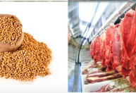 Valdir Barbosa: além de bloquear carne bovina, UE quer produtos agrícolas sem defensivos