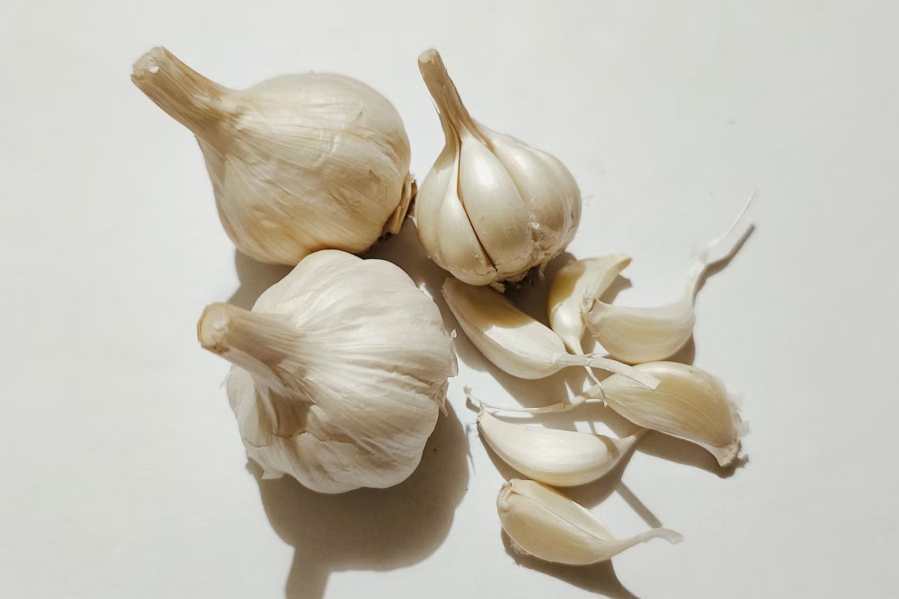 Plantar alho na terra das plantas: para que serve esse truque natural