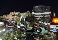 Acidente entre ônibus e caminhão carregado de bananas na BR-116 deixa dois mortos