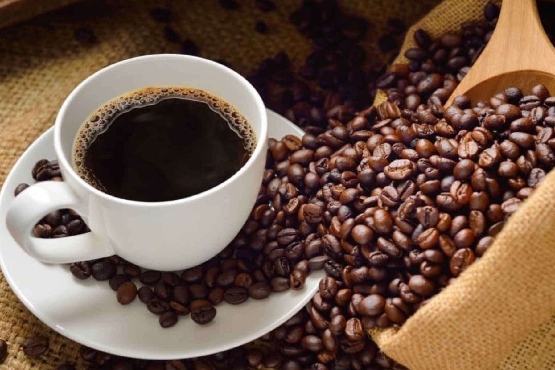 Valdir Barbosa: café pode ultrapassar a R$ 2 mil a saca