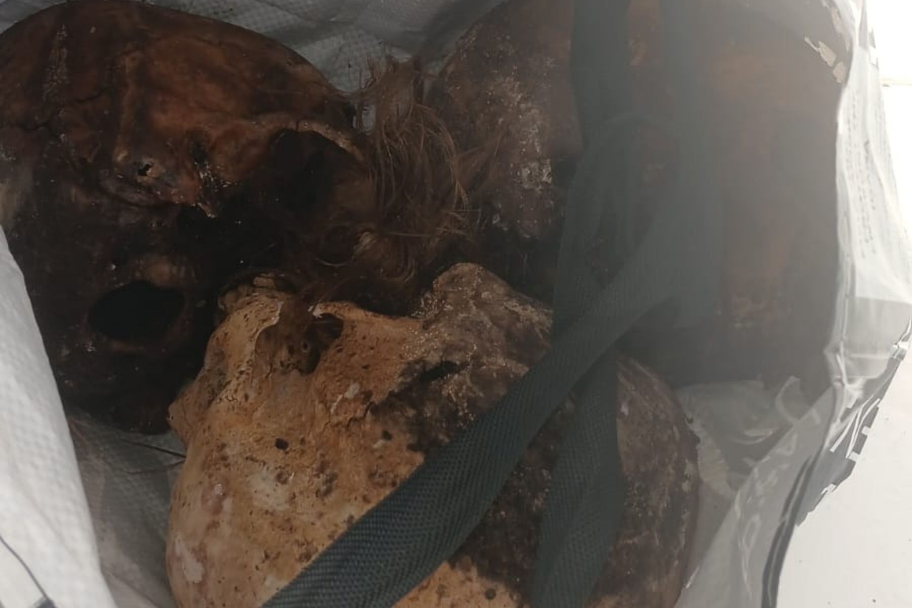 Paciente do Caps é encontrado com três crânios dentro de sacola de compras no RS