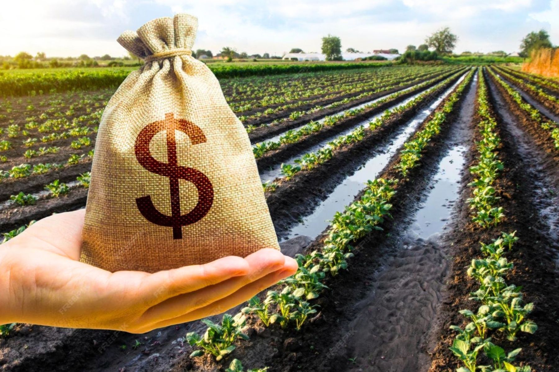 Valdir Barbosa: burocracia do governo afasta produtor rural do refinanciamento de dívidas