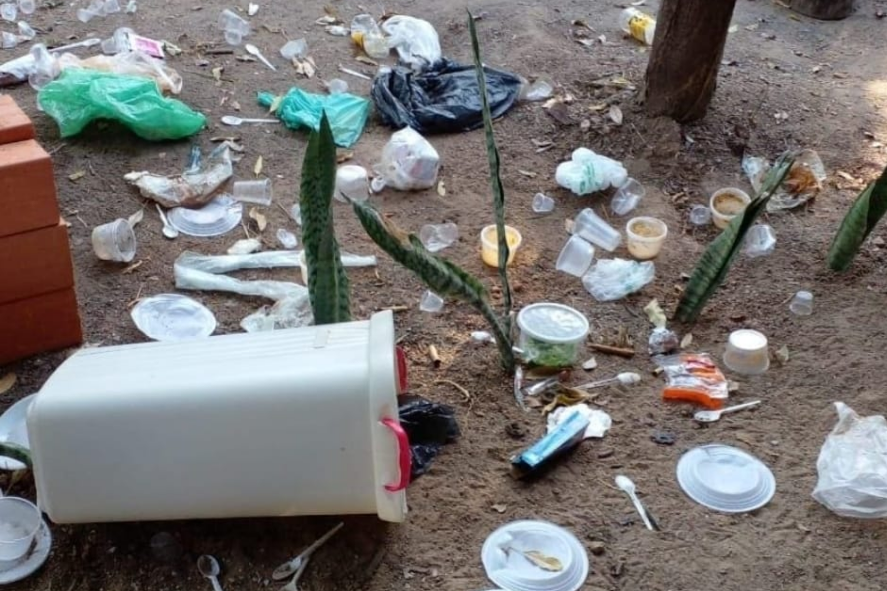 Terreiro de umbanda na Grande BH é alvo de vandalismo