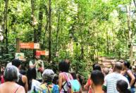 Museu de História Natural e Jardim Botânico da UFMG abre temporada de visitas para grupos