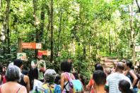 Museu de História Natural e Jardim Botânico da UFMG abre temporada de visitas para grupos