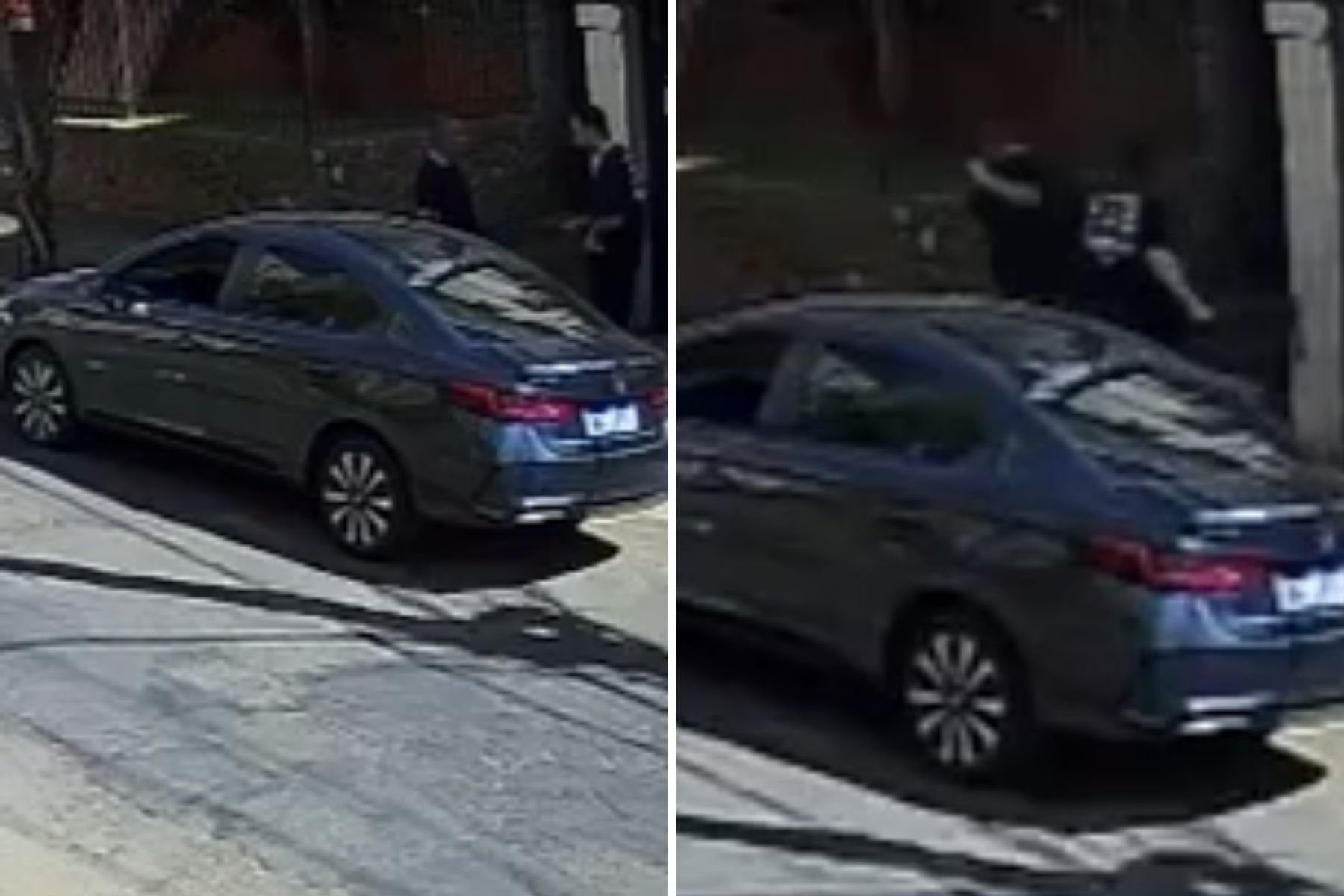 Vídeo: idoso é agredido em via pública após briga envolvendo cão em BH