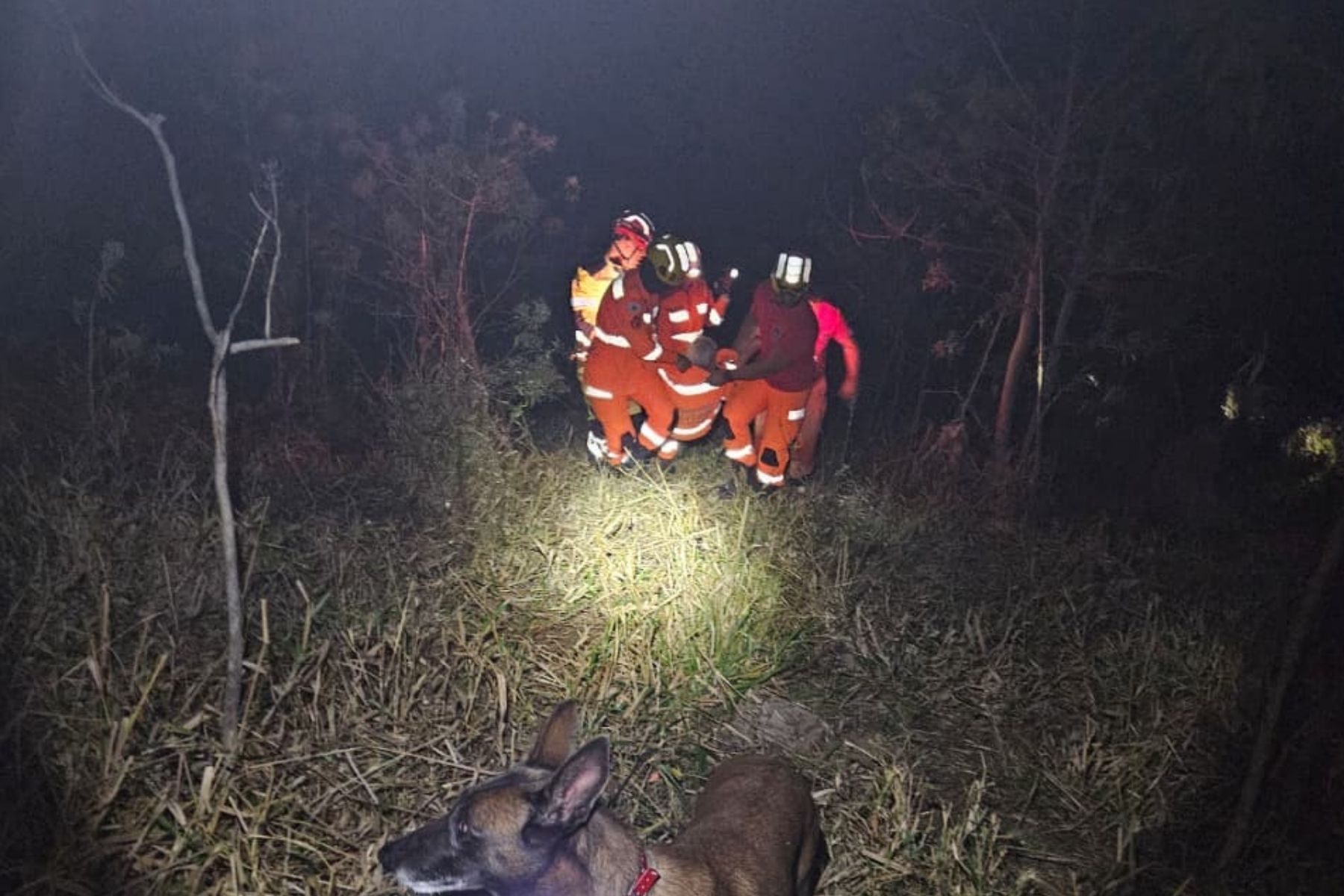 Bombeiros encontram idosa de 95 anos com Alzheimer que havia desaparecido em Caeté