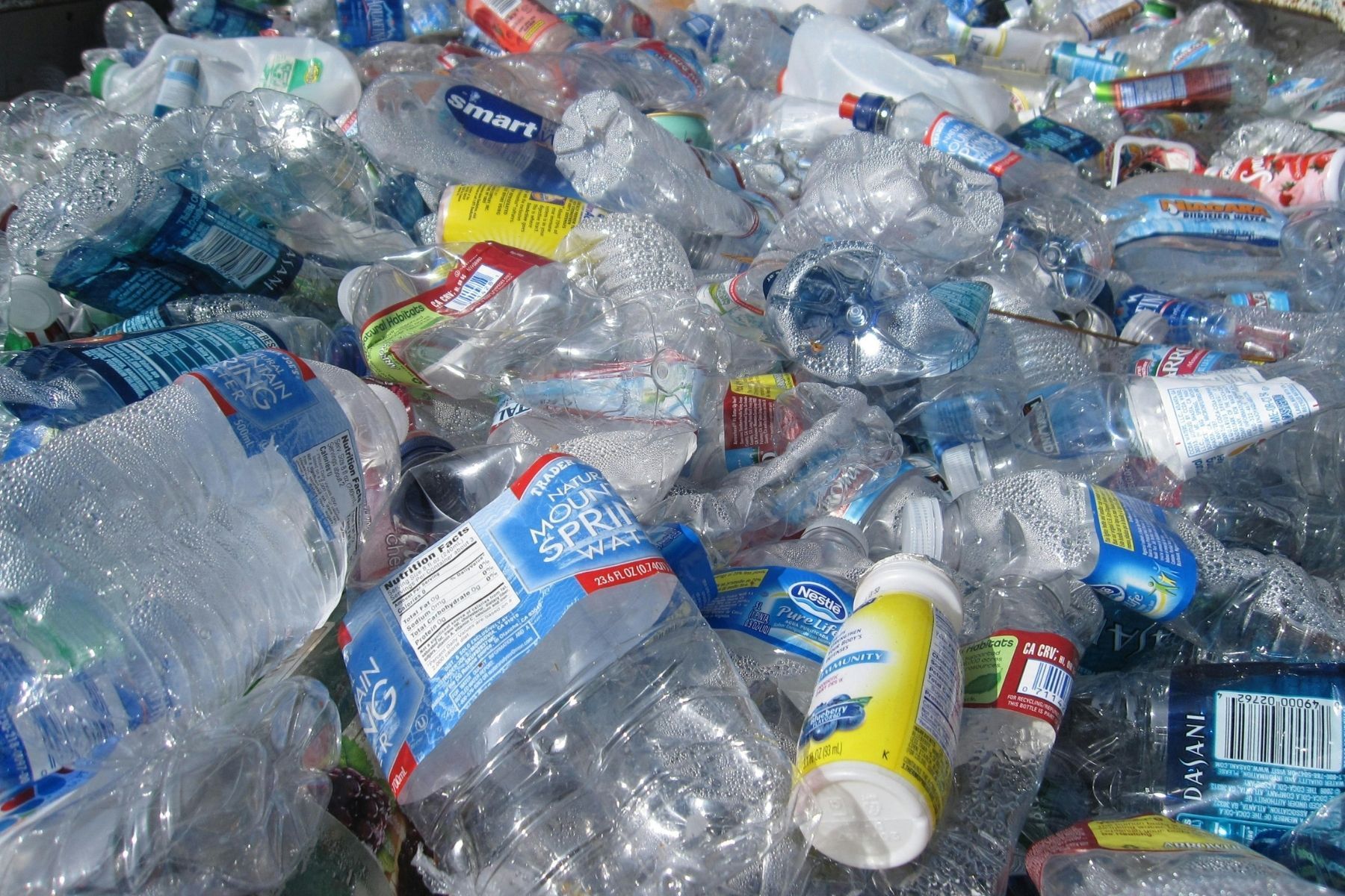 Mãe ergue casa com 7 toneladas de plástico reciclado após ficar sem dinheiro