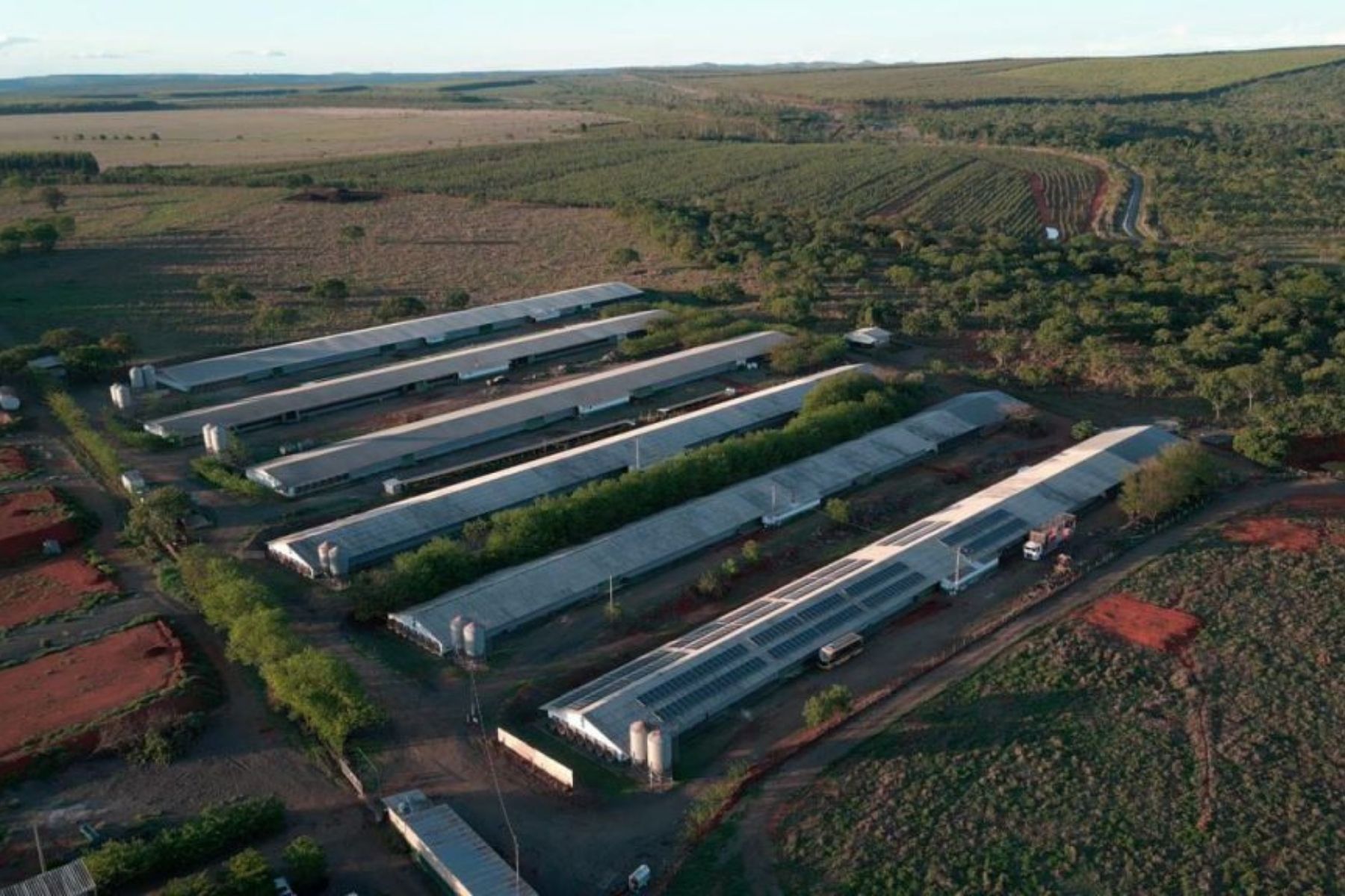 El Niño pressiona o agro e amplia demanda por tecnologias de proteção térmica