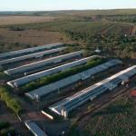 El Niño pressiona o agro e amplia demanda por tecnologias de proteção térmica