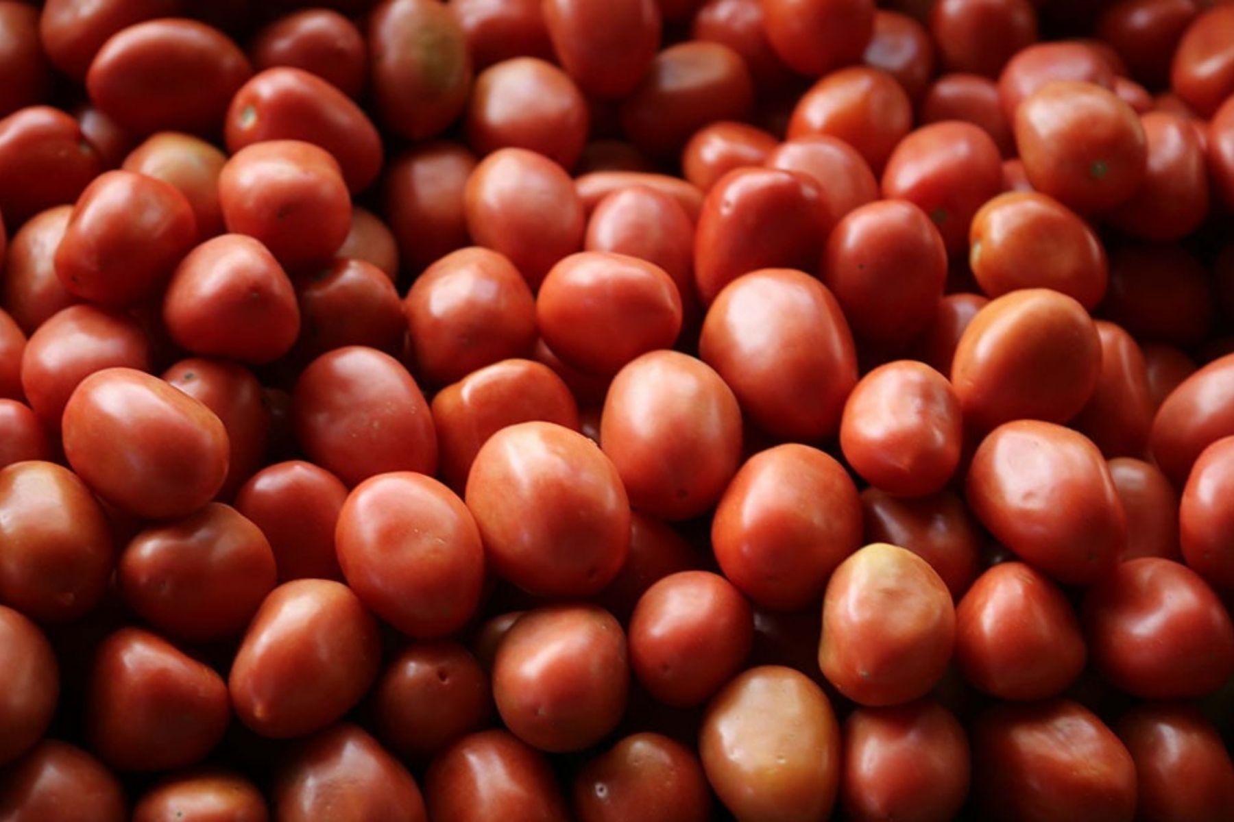 Frutas e hortaliças ficam mais baratas em Belo Horizonte com avanço da safra e clima favorável