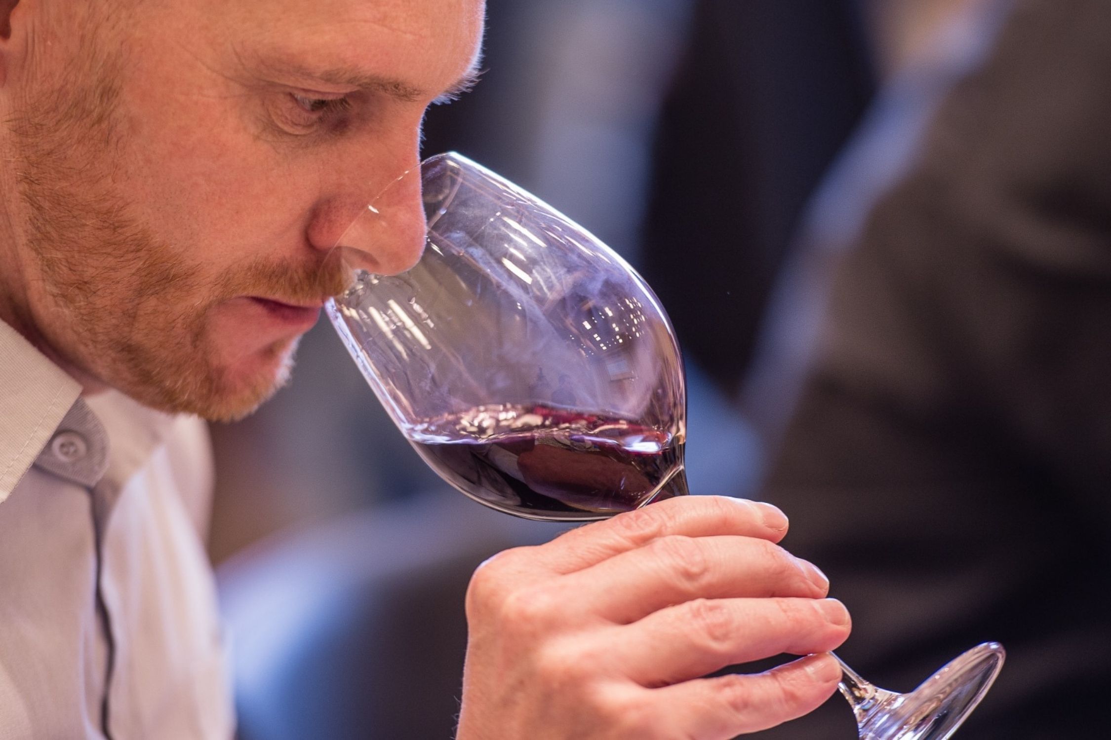 Safra 2026: às cegas, 108 enólogos definem os vinhos que representarão o Brasil