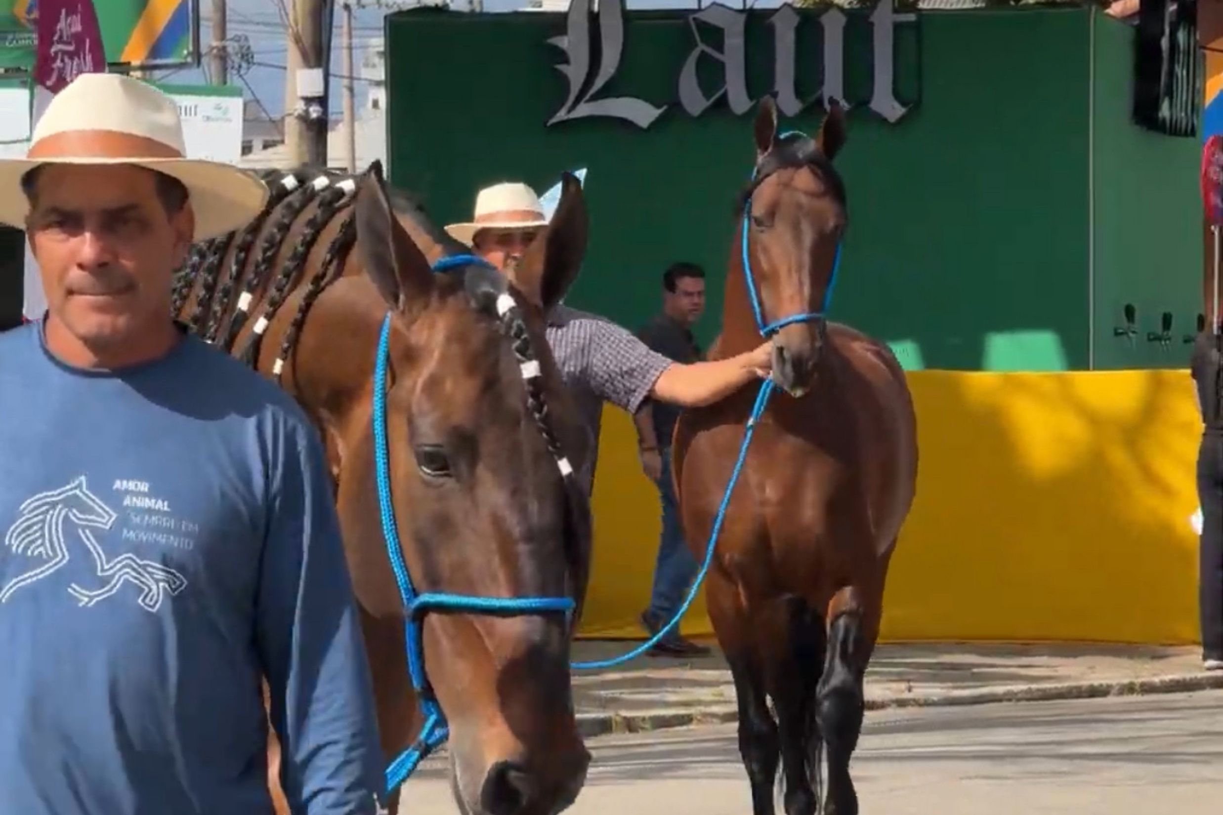BH recebe 46ª Exposição Nacional do Cavalo Campolina com shows e entrada gratuita