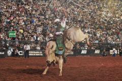 Paranaense Assyrio domina a arena e é campeão do 33º Barretos International Rodeo