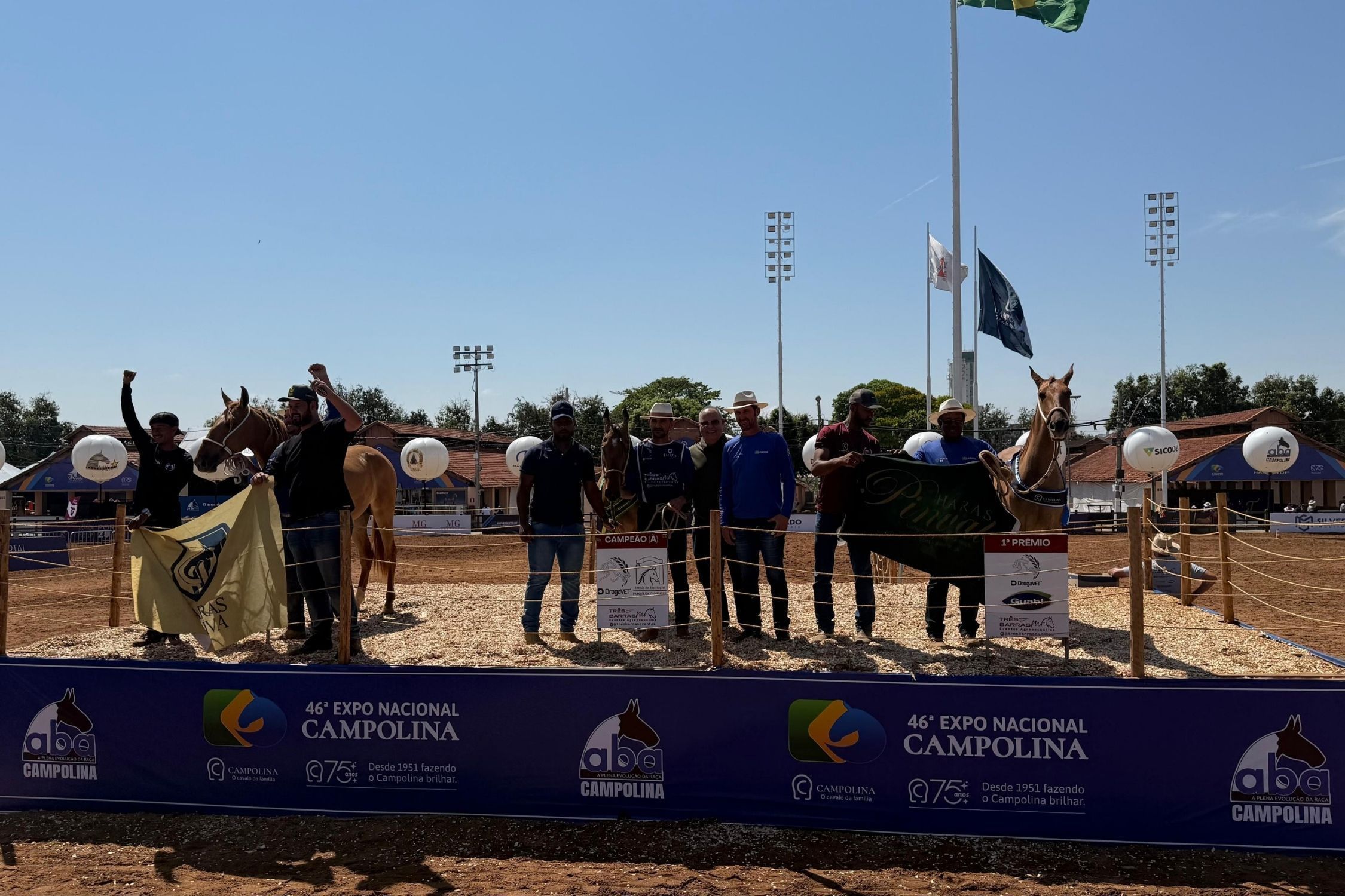 Paixão de gerações e dedicação impulsionam campeões do cavalo Campolina