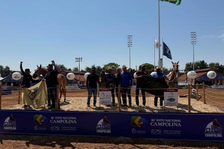 Paixão de gerações e dedicação impulsionam campeões do cavalo Campolina