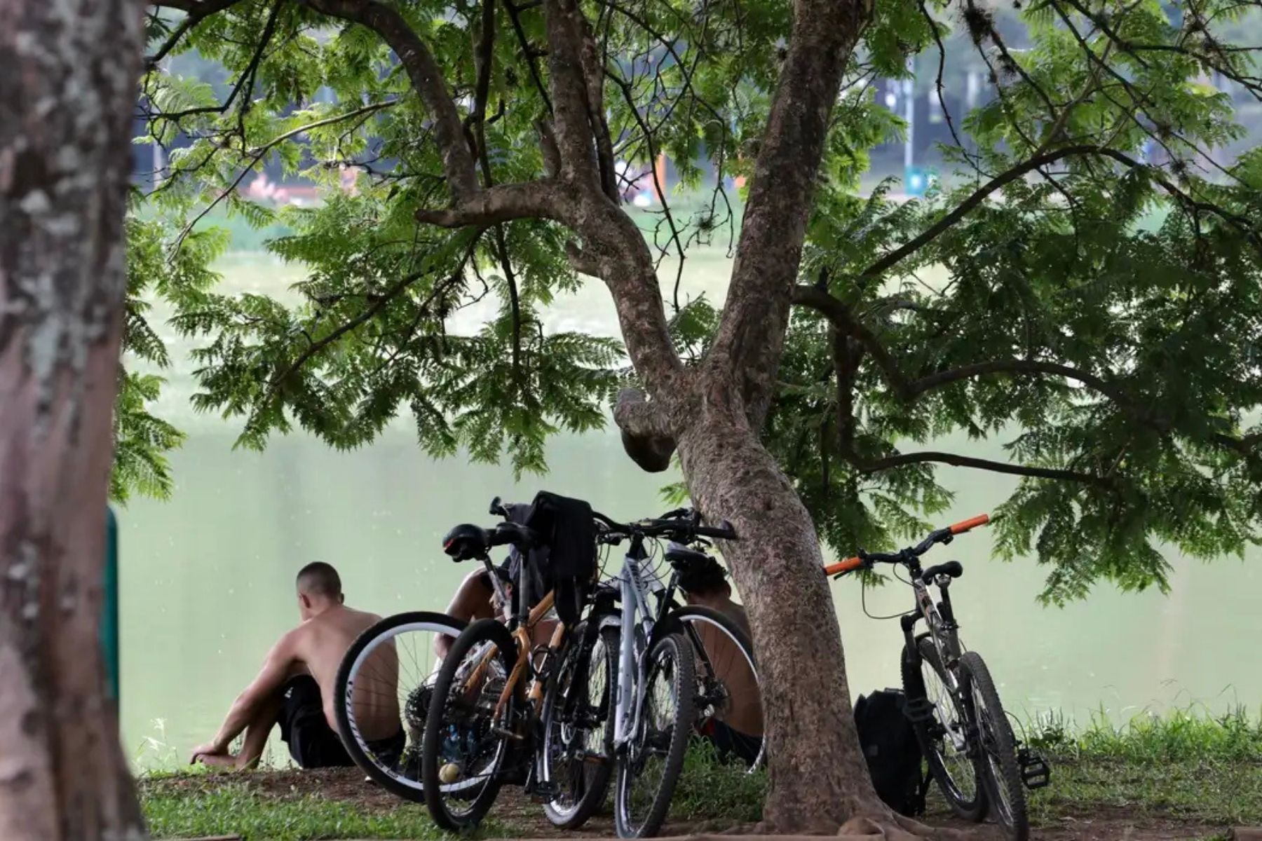 Frio perde força e temperaturas voltam a subir na capital paulista a partir desta quarta (12)