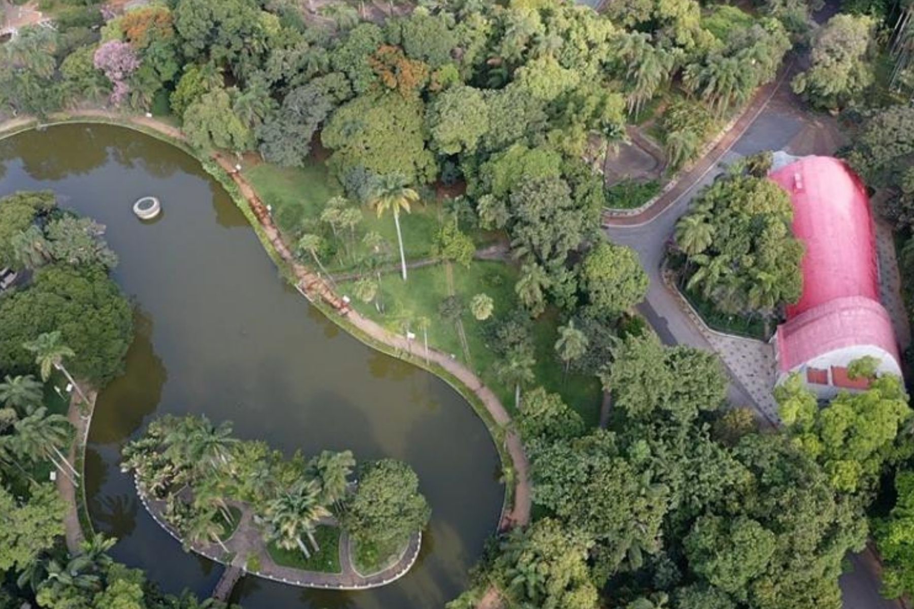 Parque Municipal de BH promove trilha guiada e inclusiva ao ar livre neste sábado (22)