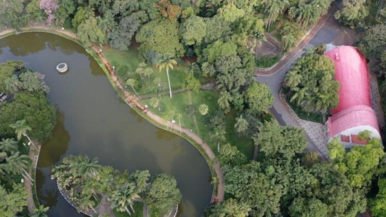 Parque Municipal de BH promove trilha guiada e inclusiva ao ar livre neste sábado (22) | Rádio Itatiaia