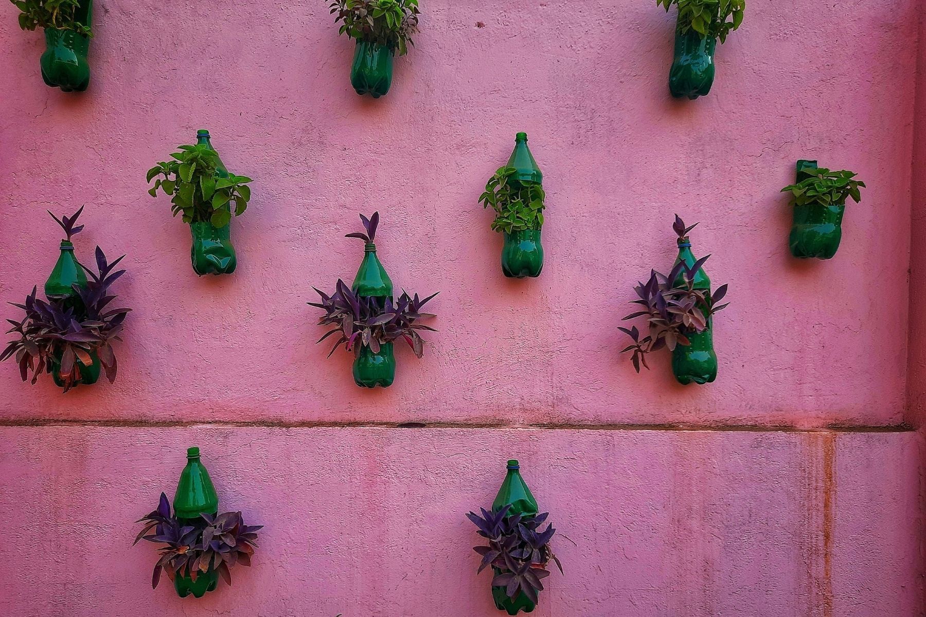 Como fazer vasos autoirrigáveis para plantas ​​usando garrafas plásticas simples