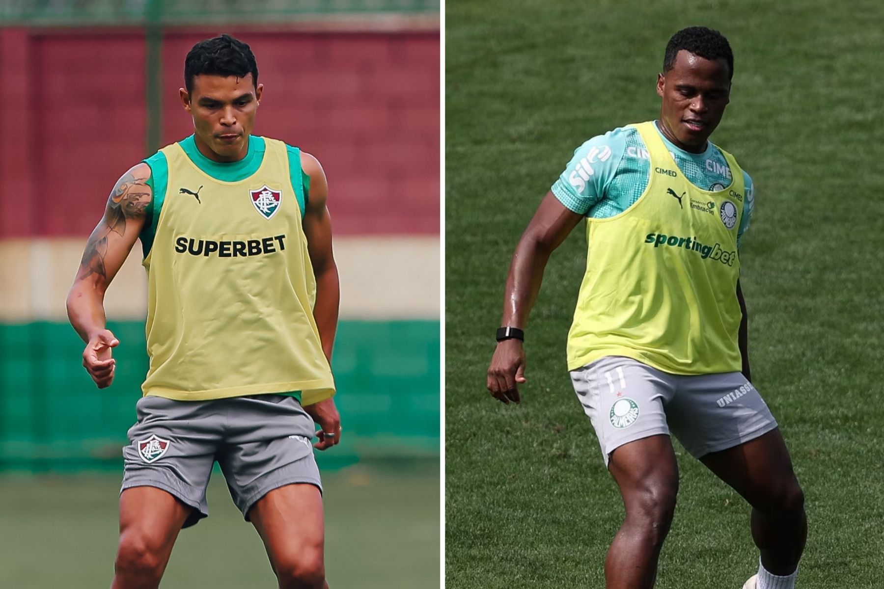 Buscando reação no Brasileiro, Palmeiras visita Fluminense, que vive crise