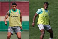 Buscando reação no Brasileiro, Palmeiras visita Fluminense, que vive crise
