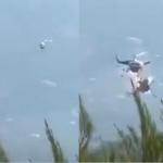 Pilotos morrem após batida entre helicópteros que combatiam incêndio na Grécia; veja vídeo