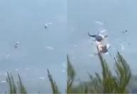 Pilotos morrem após batida entre helicópteros que combatiam incêndio na Grécia; veja vídeo