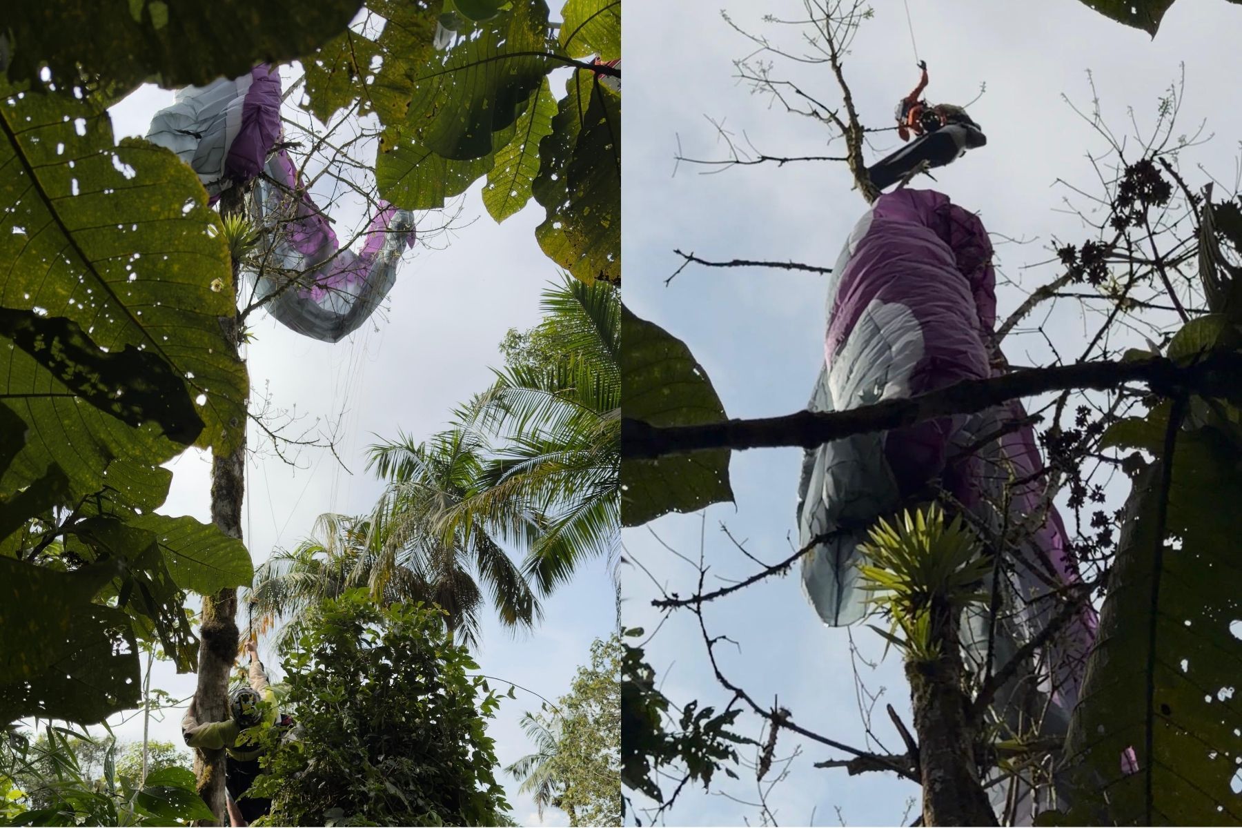 Homem cai de parapente e fica preso no topo de uma árvore em Santa Catarina