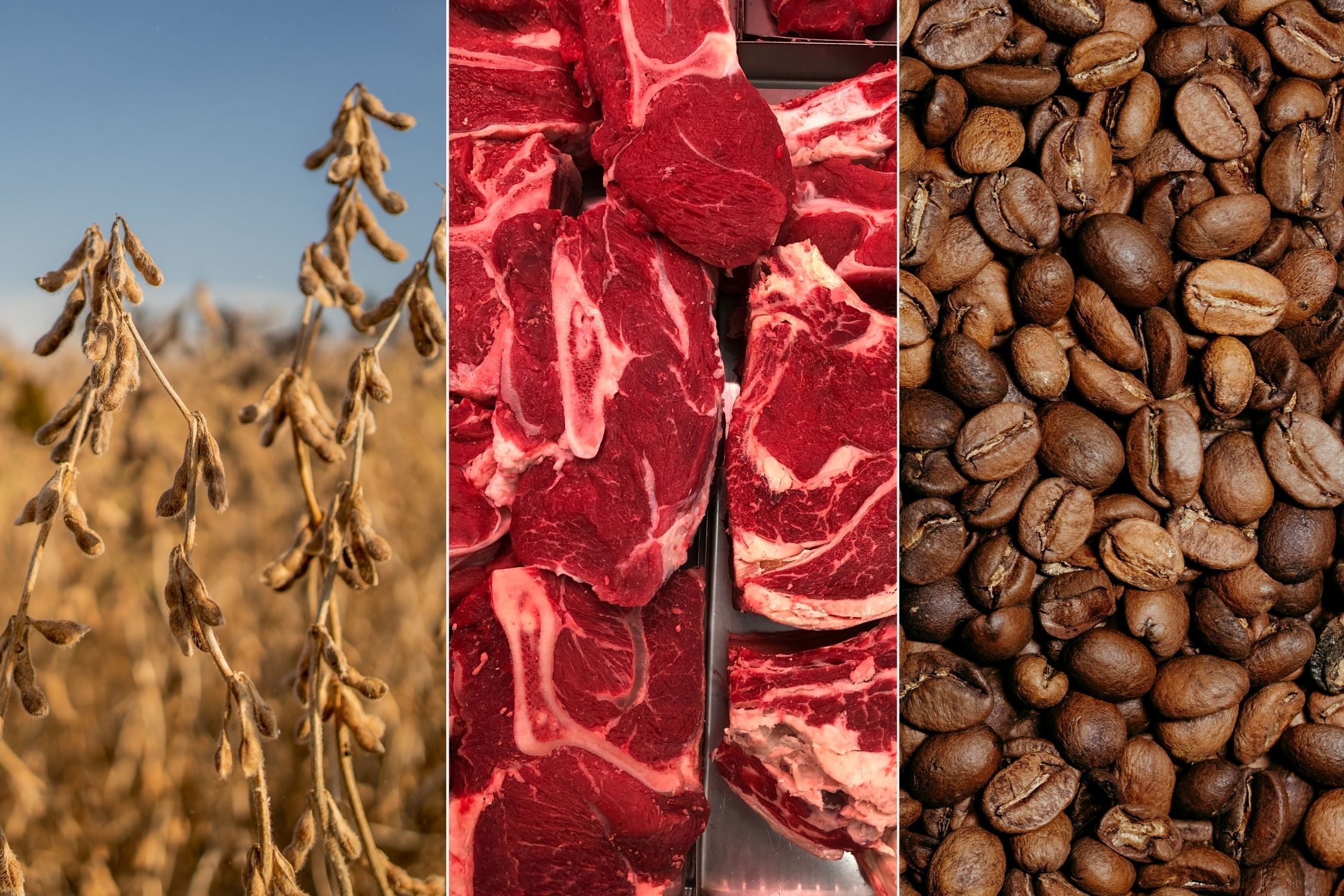 Exportações do agro brasileiro alcançam marca recorde de US$ 103,4 bilhões até julho