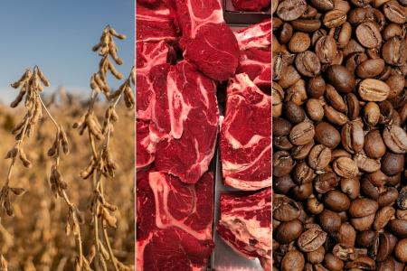 Exportações do agro brasileiro alcançam marca recorde de US$ 103,4 bilhões até julho