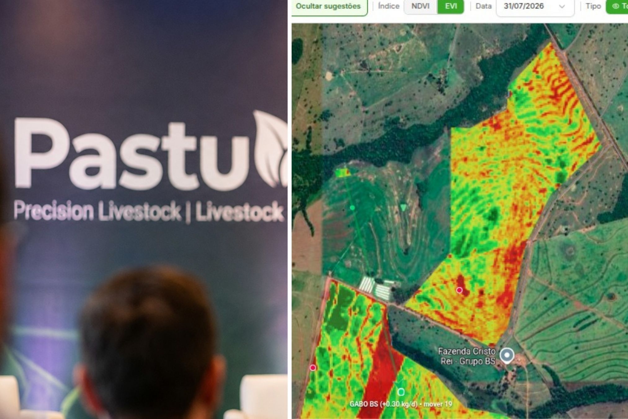 IA na pecuária: startup mineira recebe mais de R$ 500 mil da Microsoft para o campo