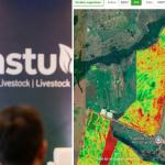 IA na pecuária: startup mineira recebe mais de R$ 500 mil da Microsoft para o campo