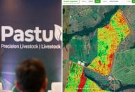 IA na pecuária: startup mineira recebe mais de R$ 500 mil da Microsoft para o campo
