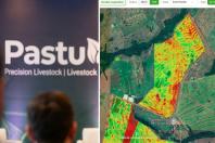 IA na pecuária: startup mineira recebe mais de R$ 500 mil da Microsoft para o campo