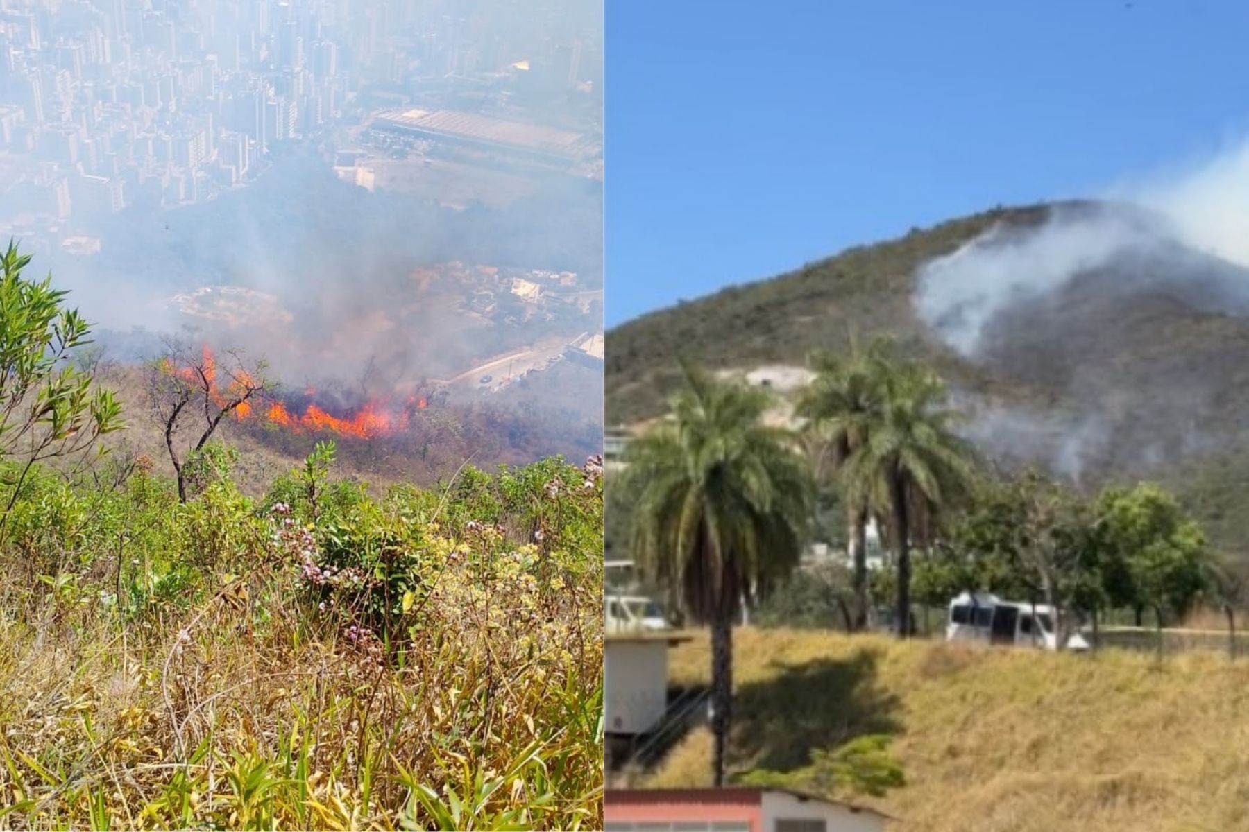 Mata no Buritis, em BH, pega fogo e mobiliza bombeiros