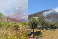 Mata no Buritis, em BH, pega fogo e mobiliza bombeiros