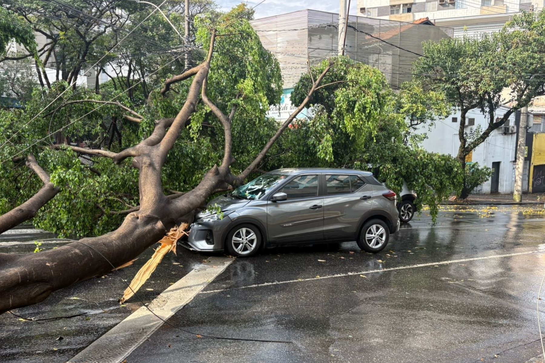Carro com mãe e filha é atingido por árvore durante chuva forte em BH