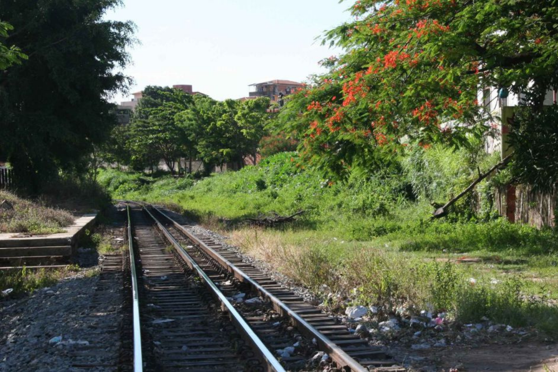TCU dá sinal verde a novo modelo de estruturação do corredor ferroviário Minas-Rio
